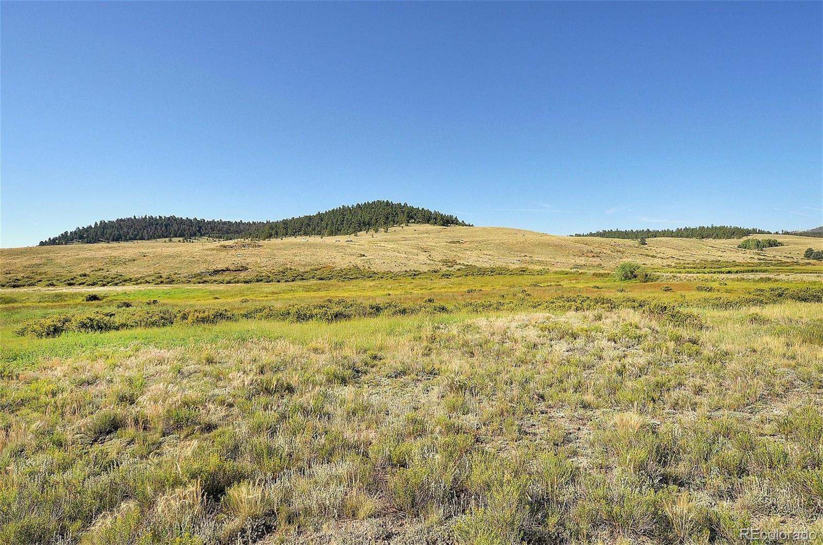 1245 Badger Creek Road Hartsel CO 80449