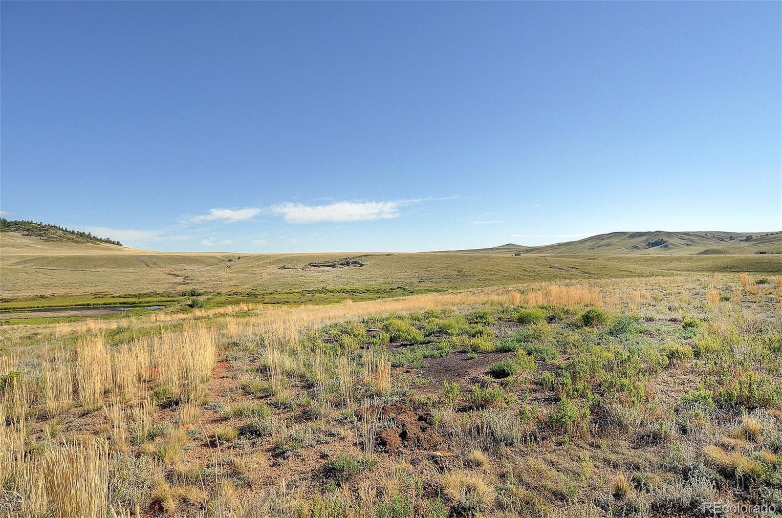 1245 Badger Creek Road Hartsel CO 80449