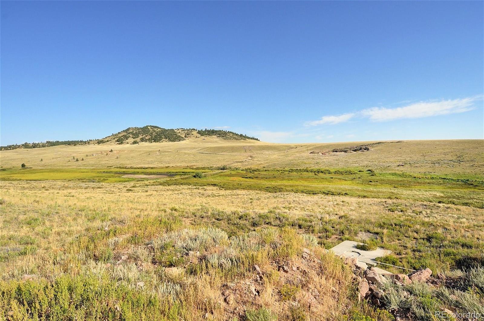 1245 Badger Creek Road Hartsel CO 80449