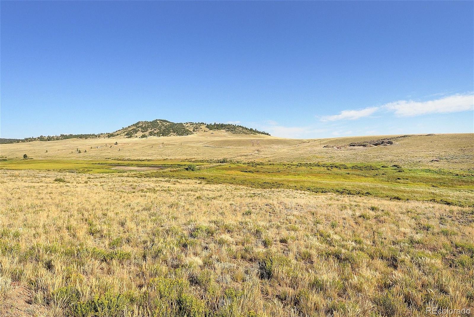 1245 Badger Creek Road Hartsel CO 80449