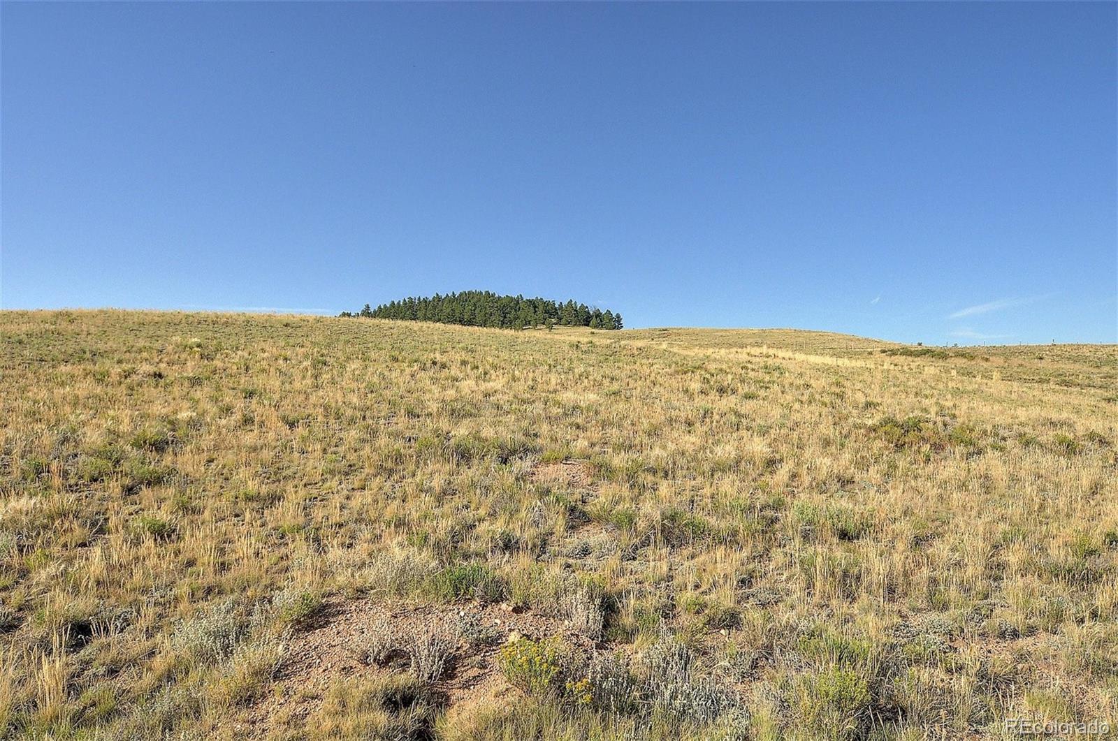 1245 Badger Creek Road Hartsel CO 80449