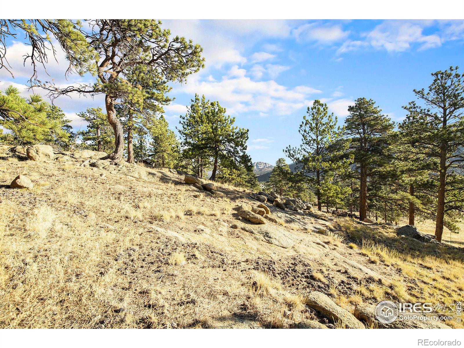 2630 Ridge Lane Estes Park CO 80517