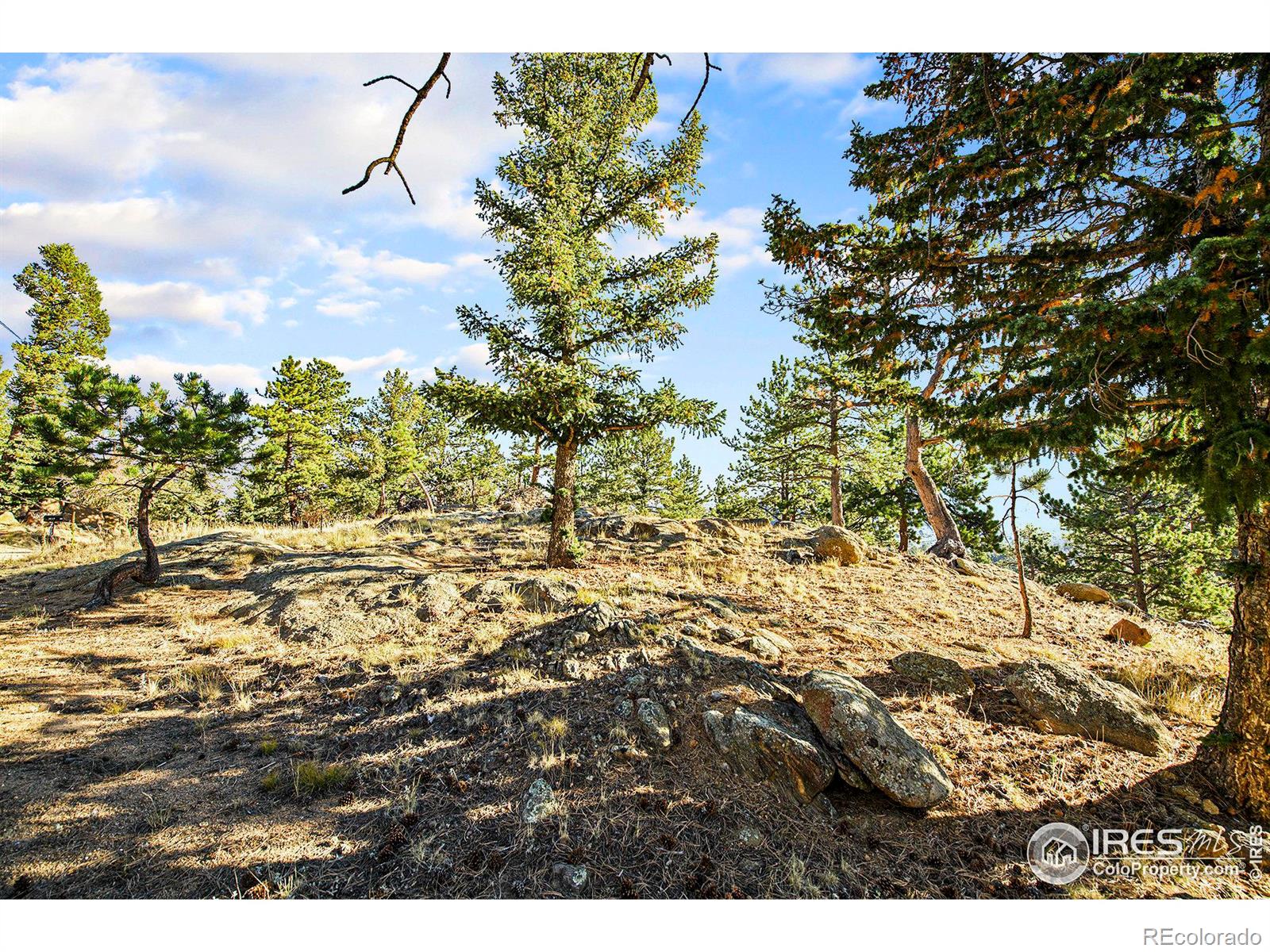 2630 Ridge Lane Estes Park CO 80517