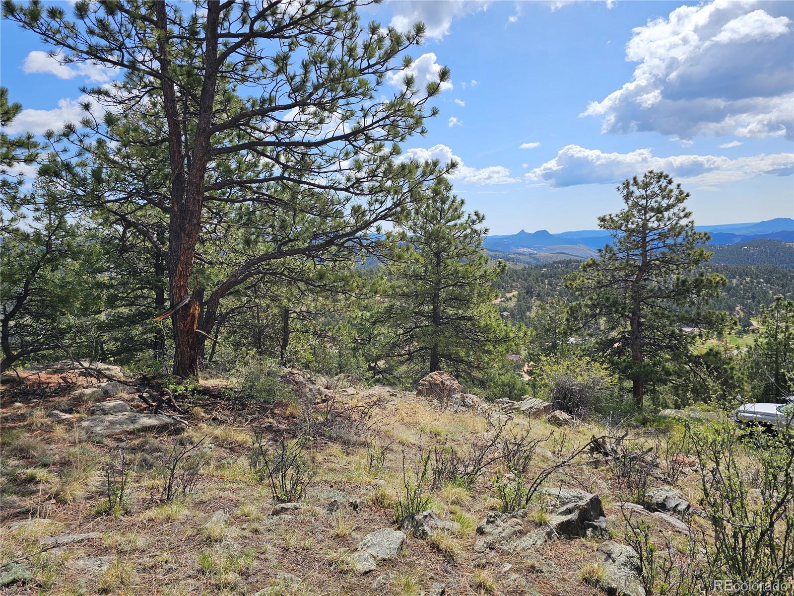 000 Dick Mountain Drive Bailey CO 80421