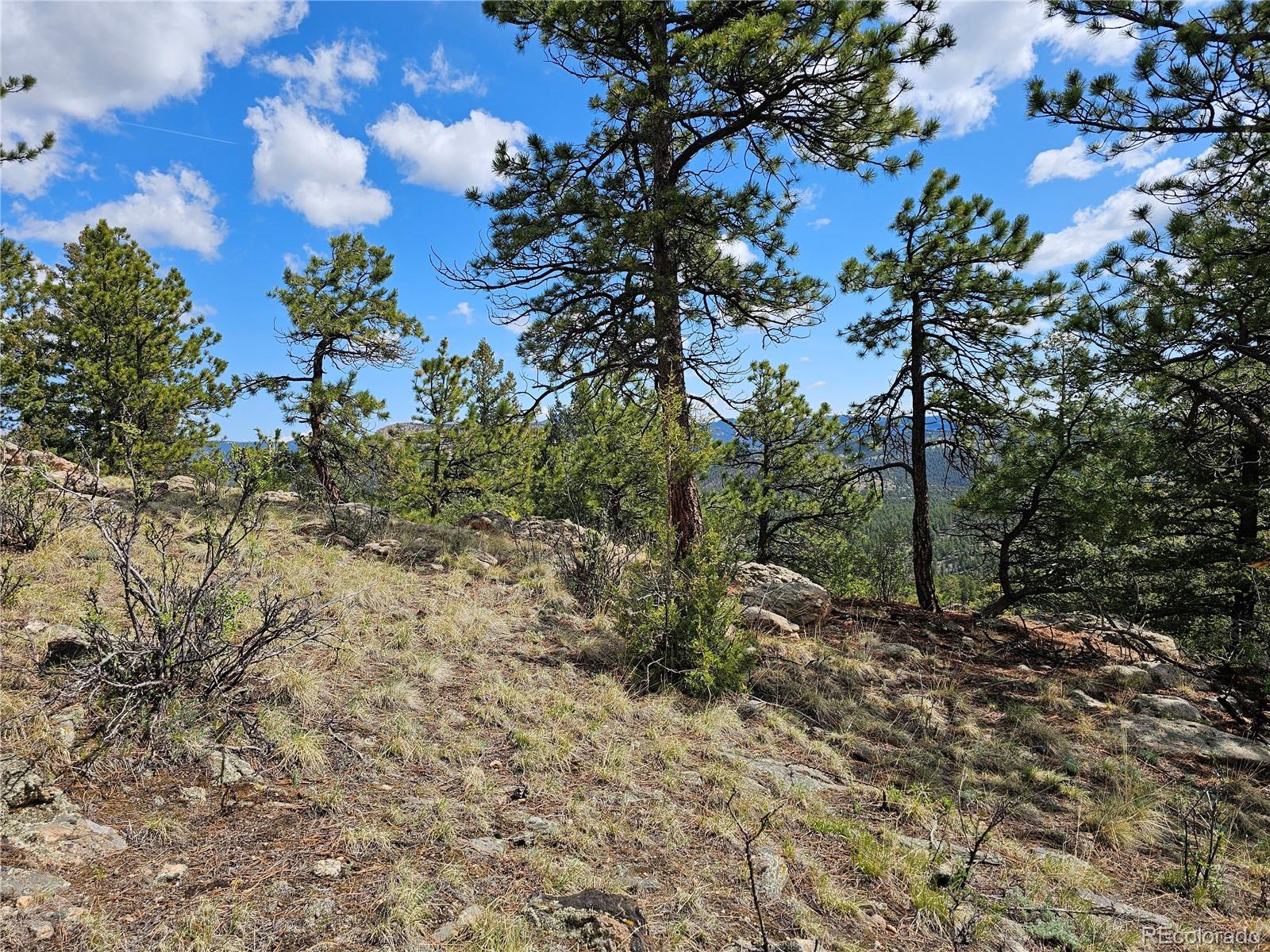 000 Dick Mountain Drive Bailey CO 80421