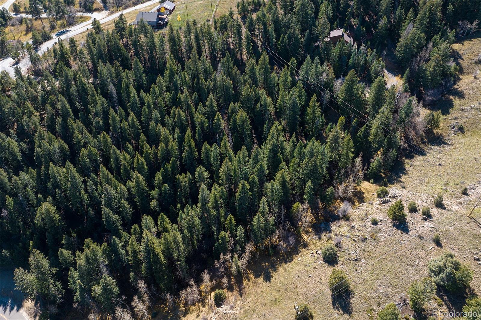 76 Ponderosa Place Evergreen CO 80439
