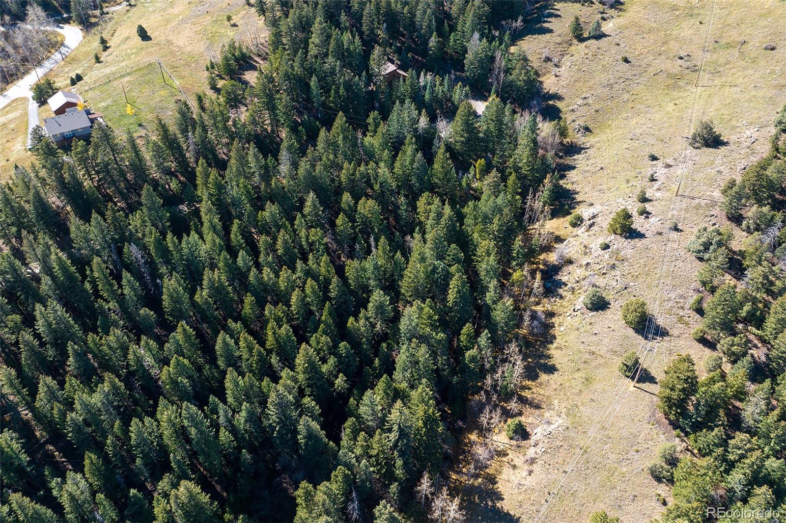 76 Ponderosa Place Evergreen CO 80439