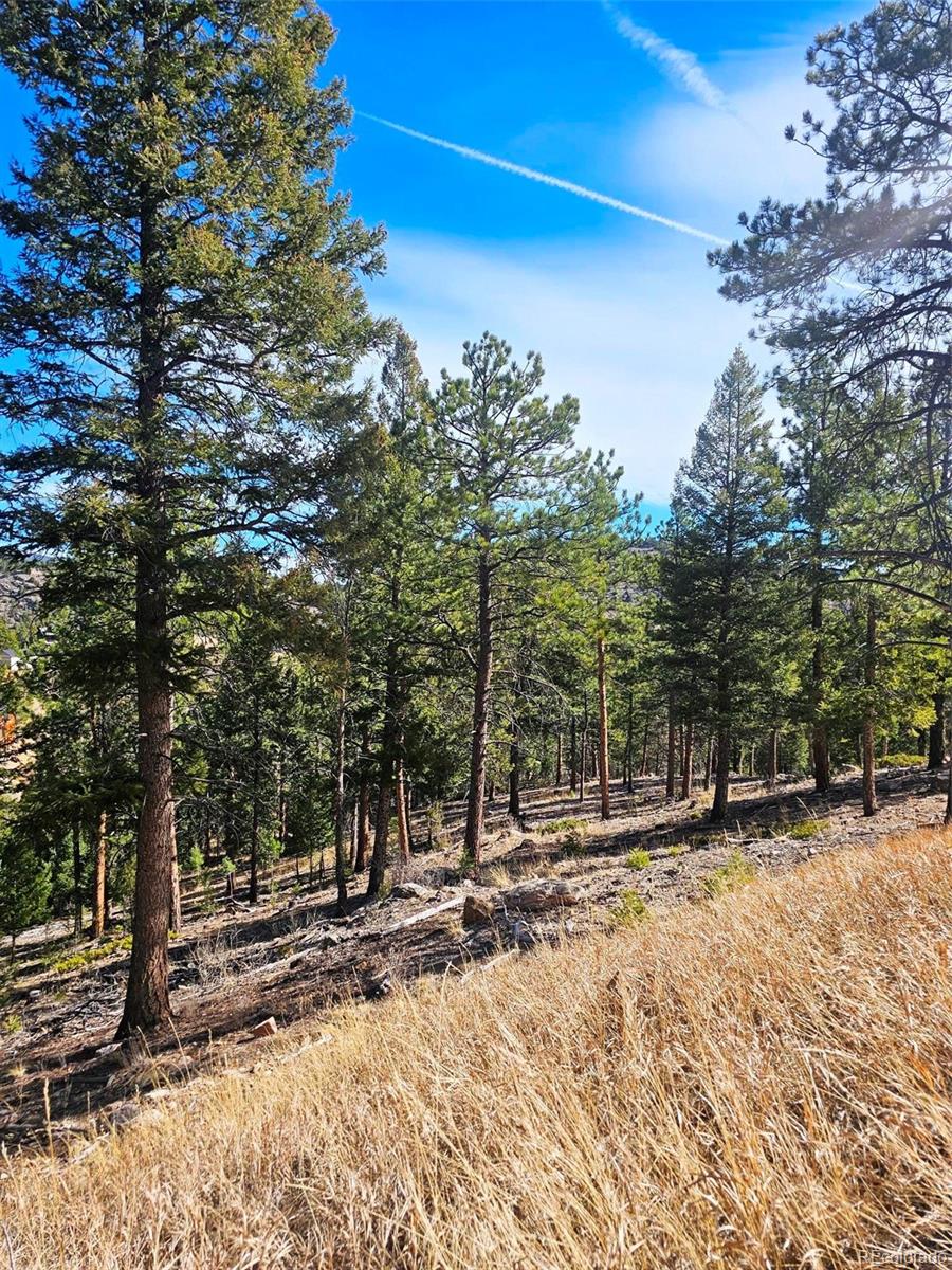 14794 Wetterhorn Peak Trail Pine CO 80470