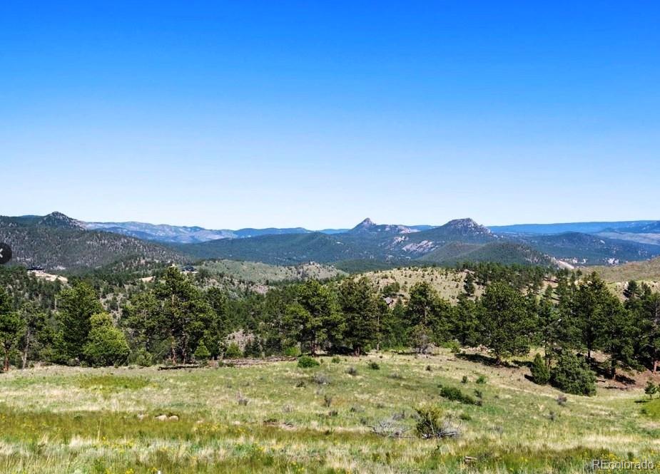 14794 Wetterhorn Peak Trail Pine CO 80470