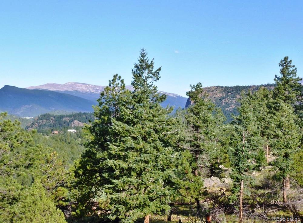 14794 Wetterhorn Peak Trail Pine CO 80470