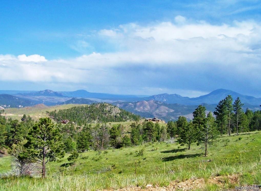 14794 Wetterhorn Peak Trail Pine CO 80470