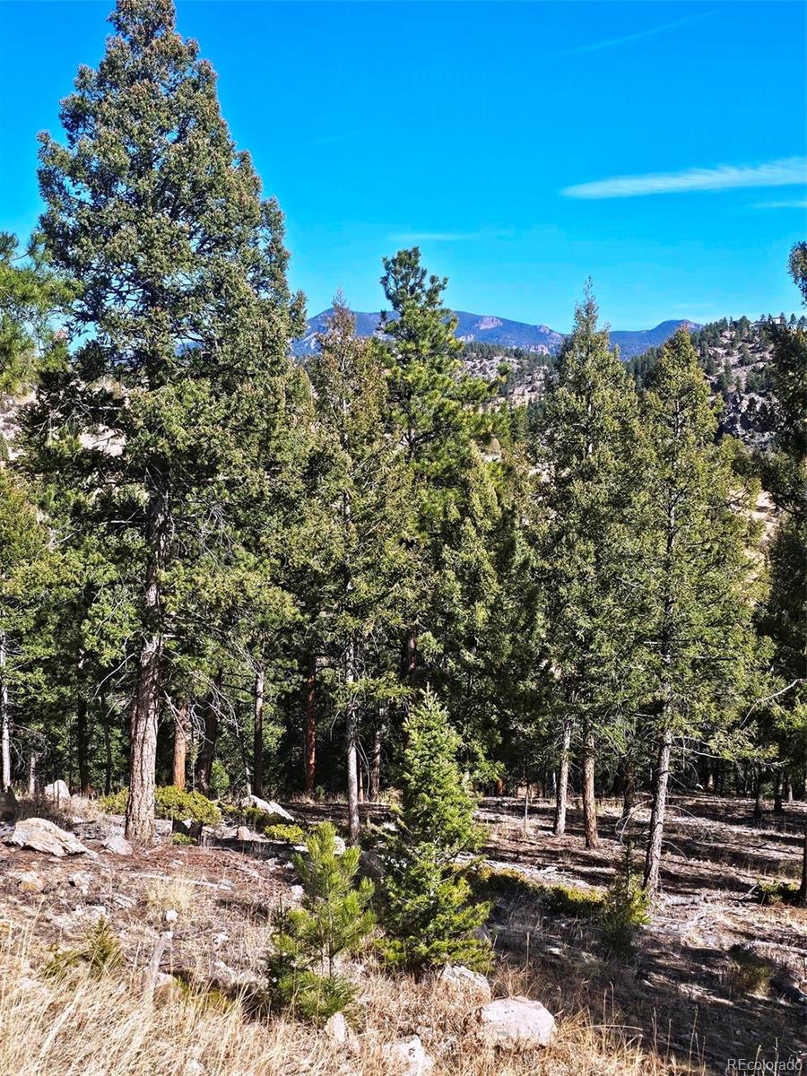 14794 Wetterhorn Peak Trail Pine CO 80470
