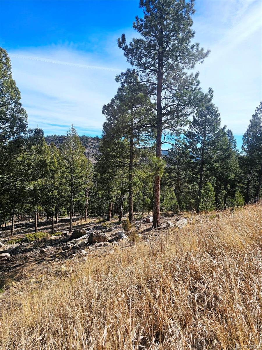 14794 Wetterhorn Peak Trail Pine CO 80470