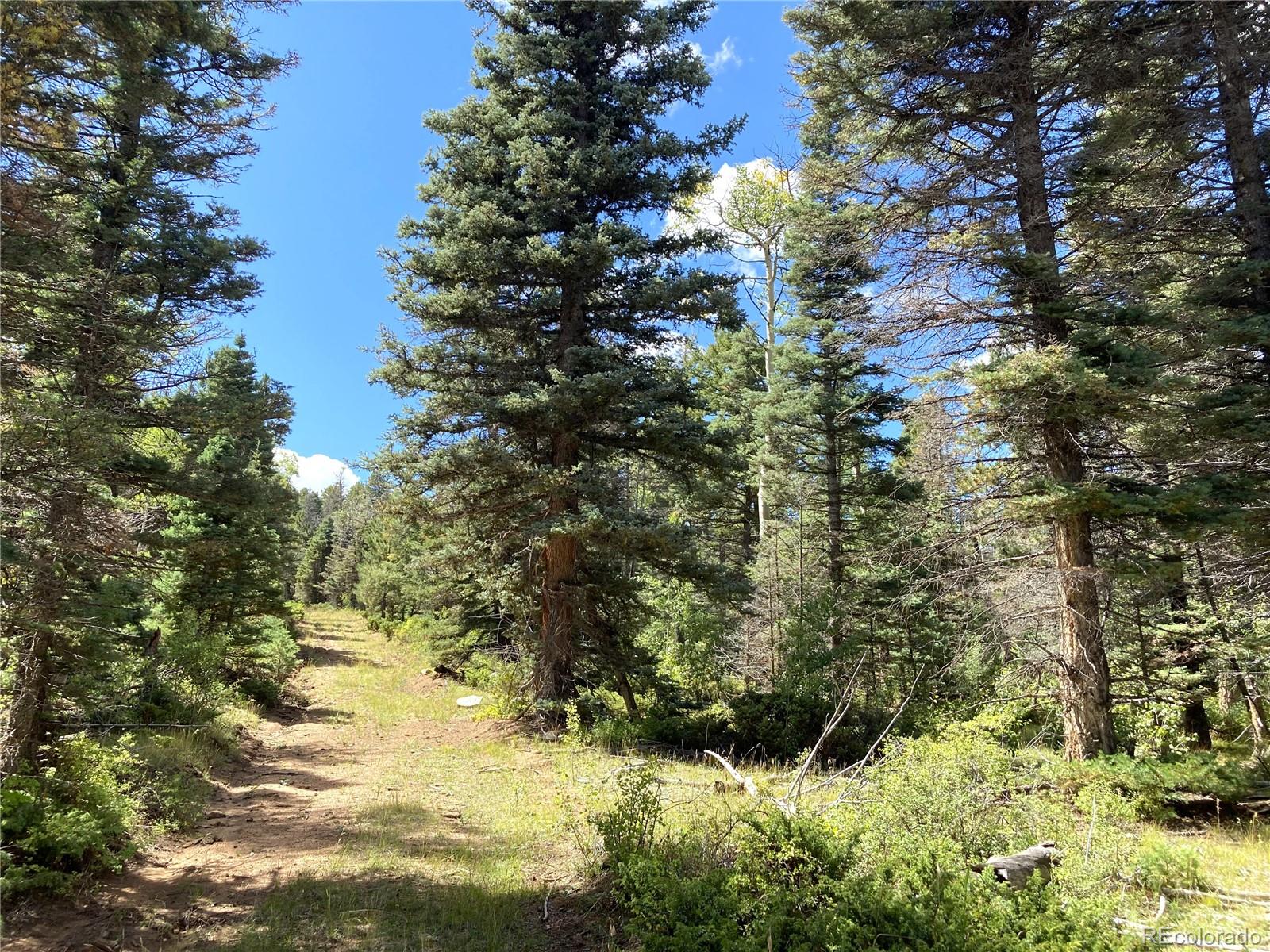 Tbd L 27 Copper Mountain Road Cotopaxi CO 81223