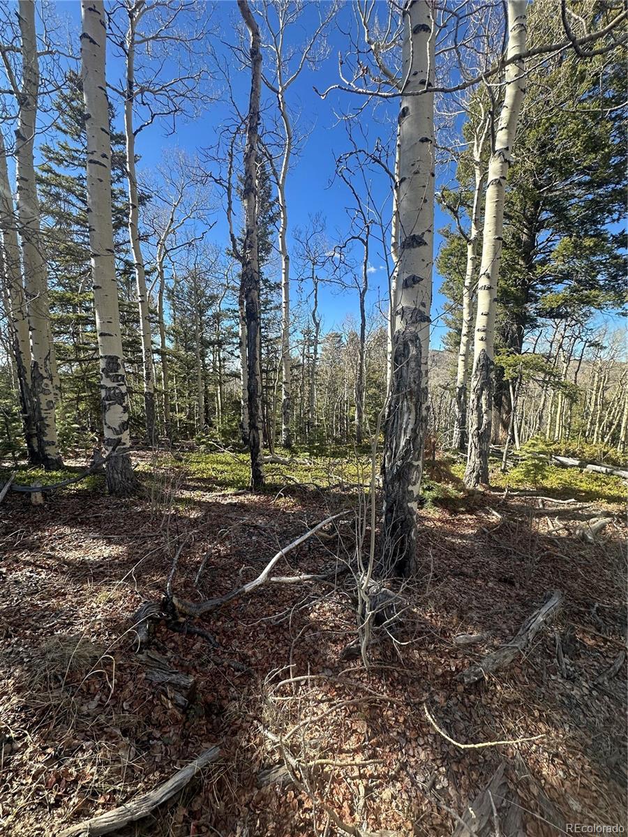 Lot 6744 Starkweather Road San Luis CO 81152