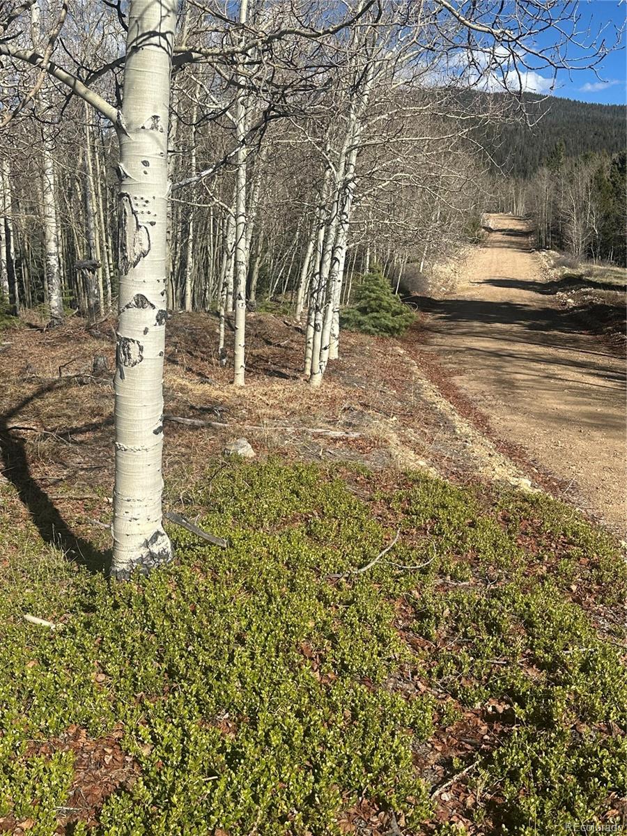 Lot 6744 Starkweather Road San Luis CO 81152