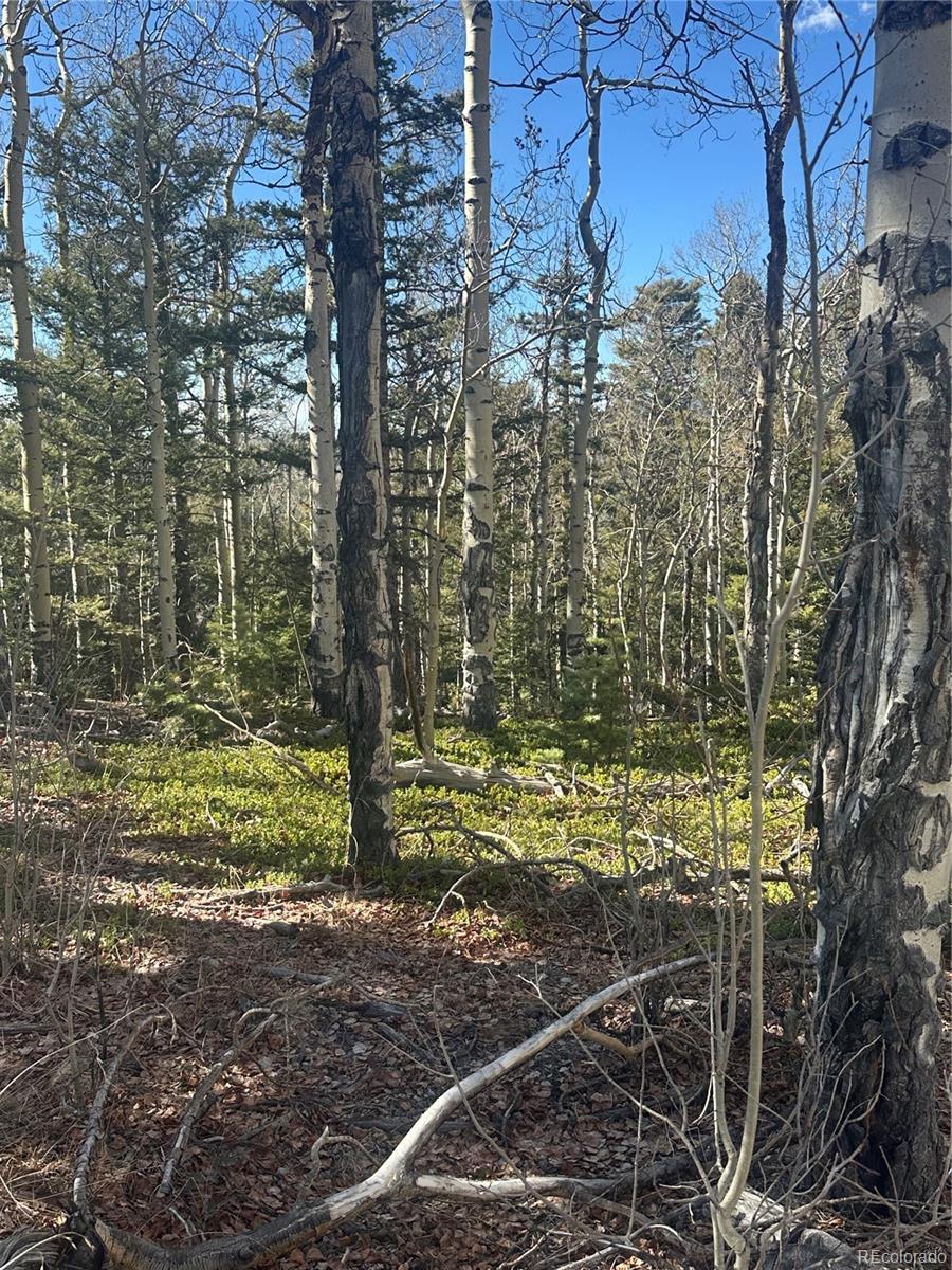 Lot 6744 Starkweather Road San Luis CO 81152