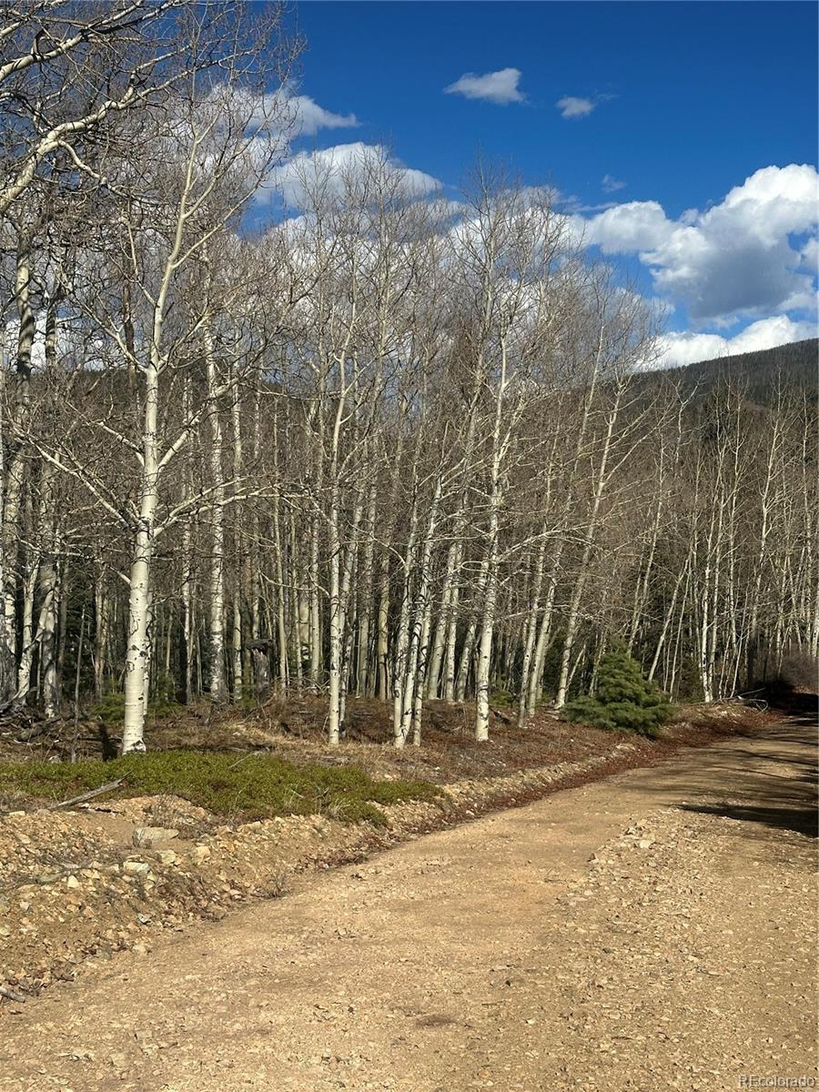 Lot 6744 Starkweather Road San Luis CO 81152