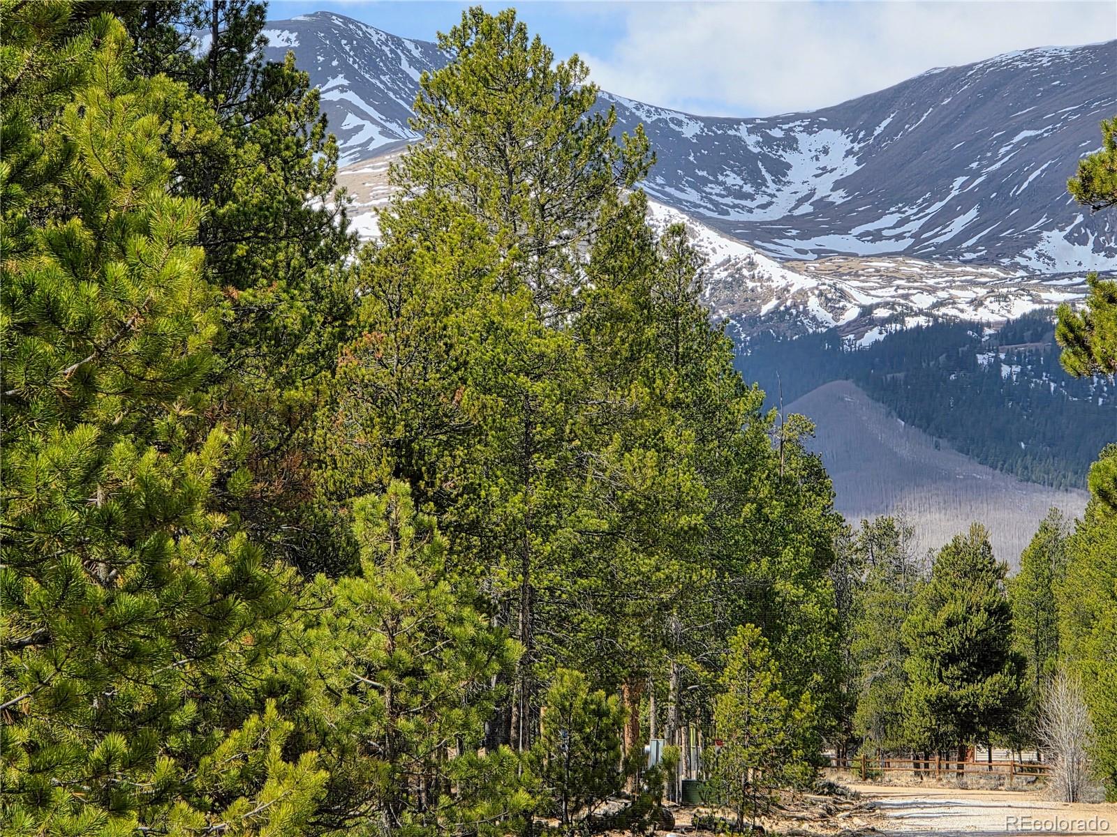 322 Fir Drive Twin Lakes CO 81251