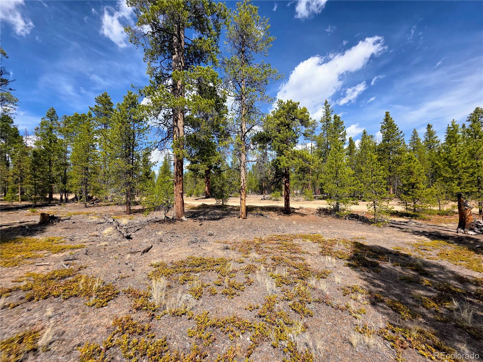 322 Fir Drive Twin Lakes CO 81251