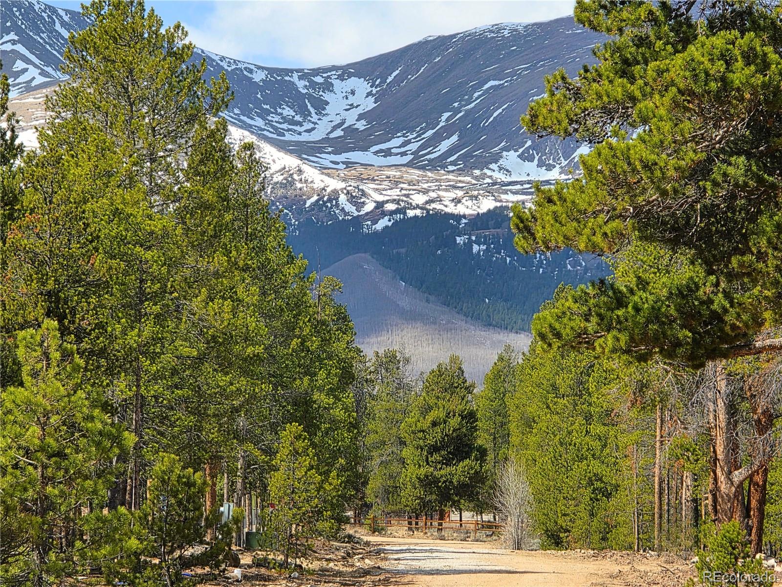 322 Fir Drive Twin Lakes CO 81251