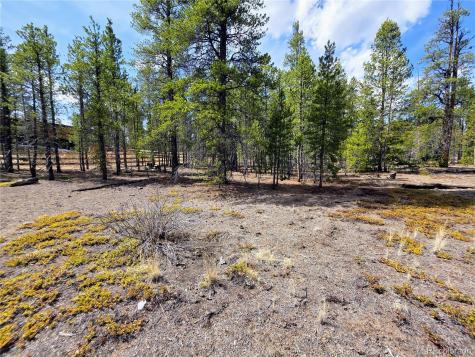322 Fir Drive Twin Lakes CO 81251