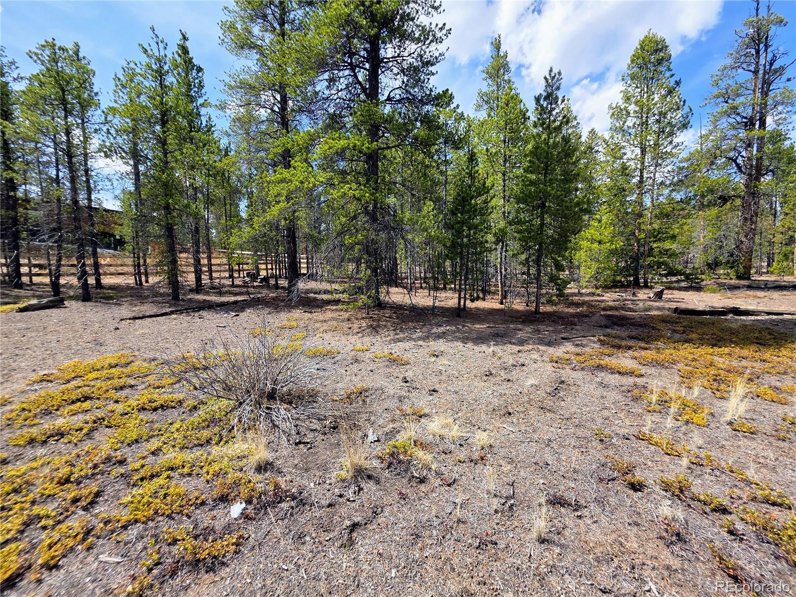 322 Fir Drive Twin Lakes CO 81251