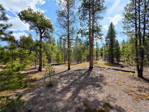 322 Fir Drive Twin Lakes CO 81251