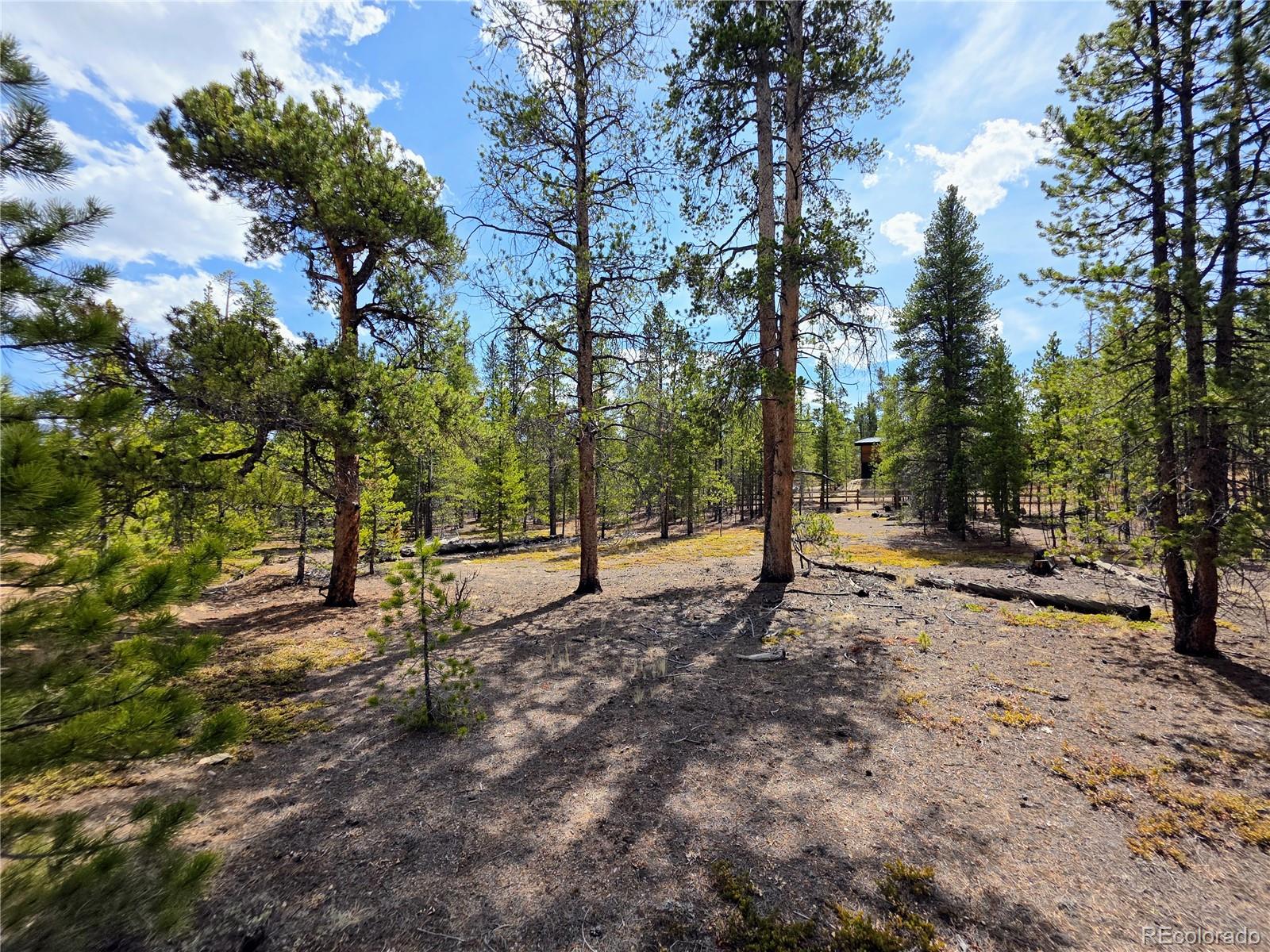 322 Fir Drive Twin Lakes CO 81251