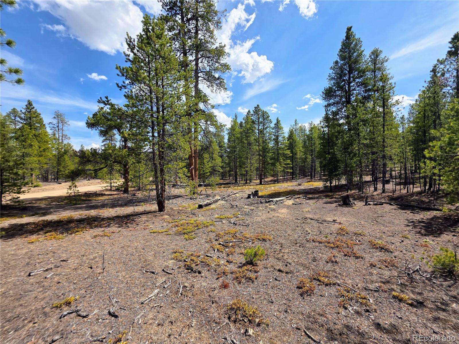 322 Fir Drive Twin Lakes CO 81251