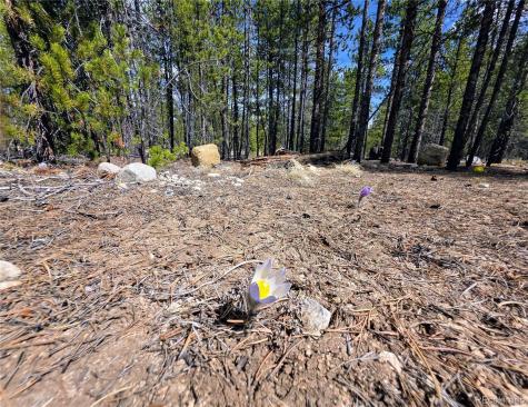 322 Fir Drive Twin Lakes CO 81251