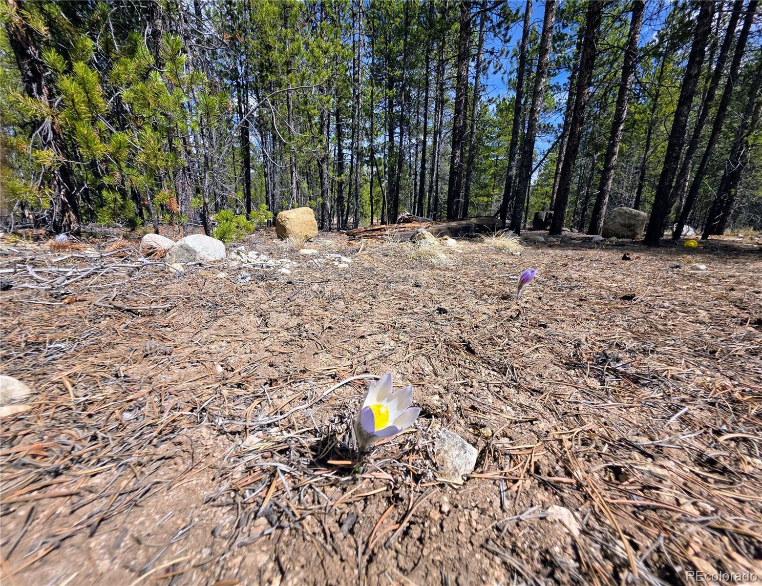 322 Fir Drive Twin Lakes CO 81251