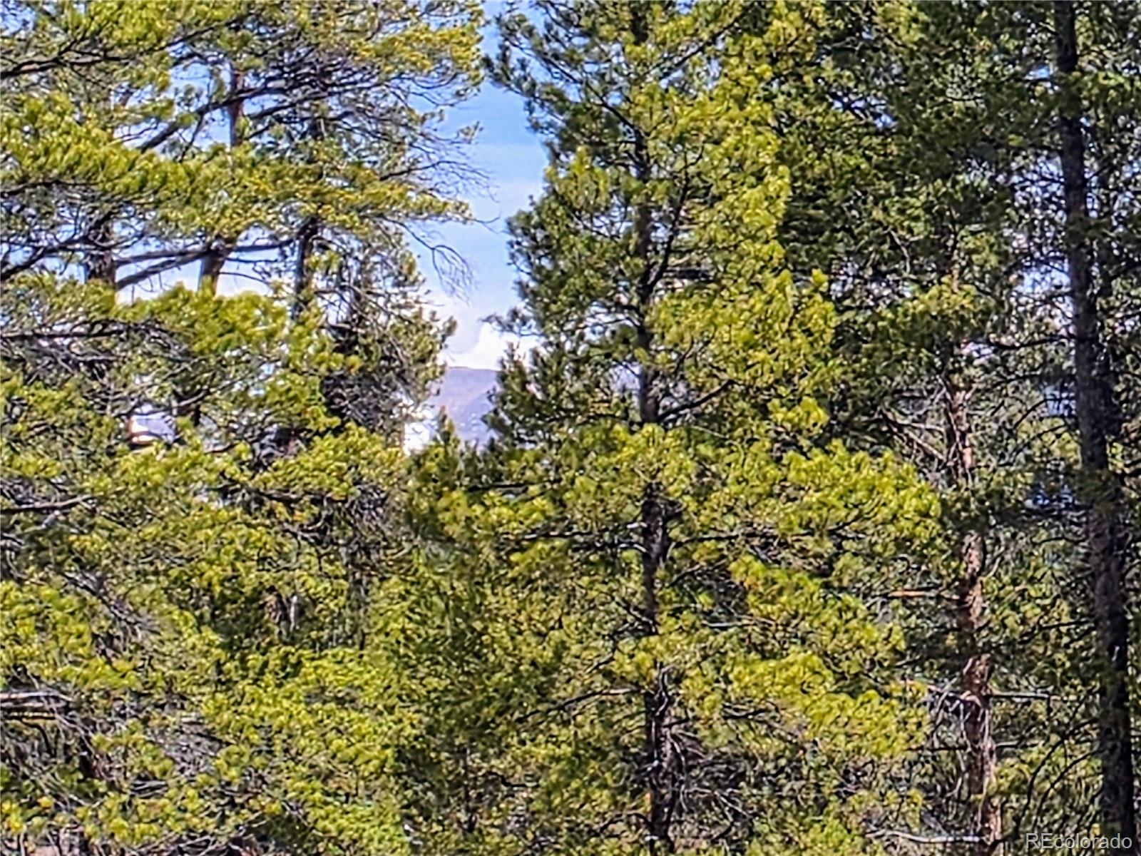 322 Fir Drive Twin Lakes CO 81251