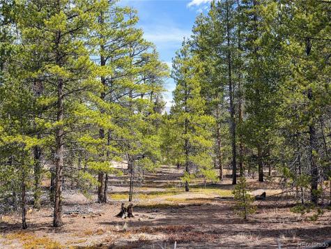 322 Fir Drive Twin Lakes CO 81251