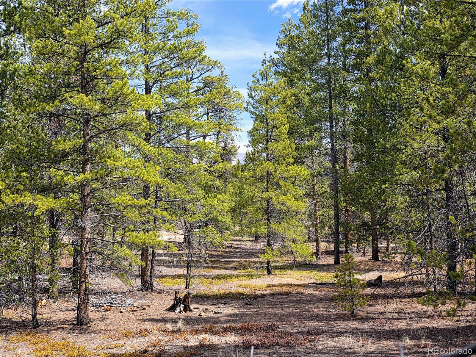 322 Fir Drive Twin Lakes CO 81251
