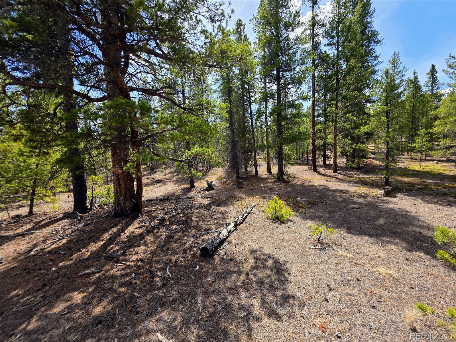322 Fir Drive Twin Lakes CO 81251