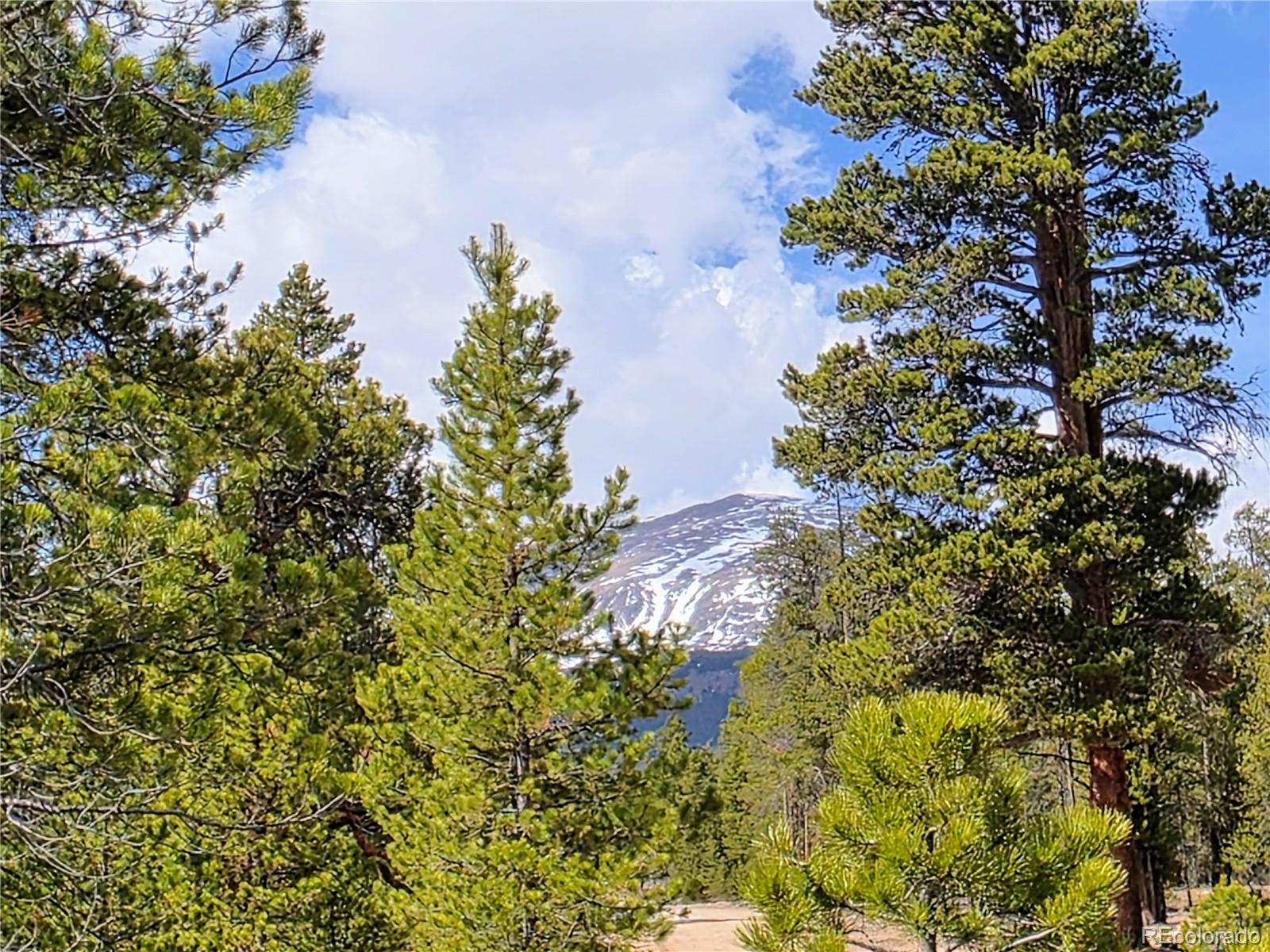 322 Fir Drive Twin Lakes CO 81251