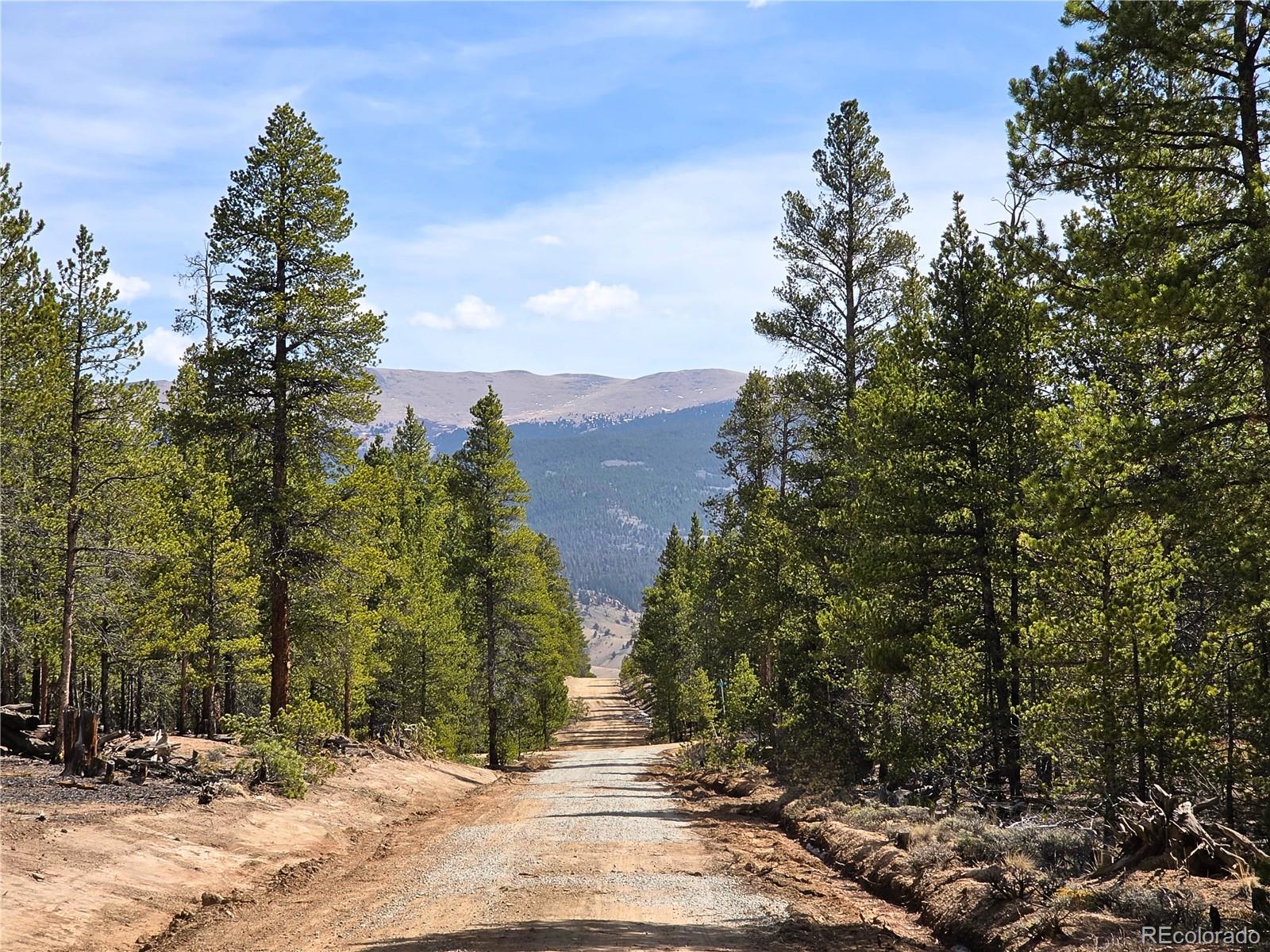 322 Fir Drive Twin Lakes CO 81251