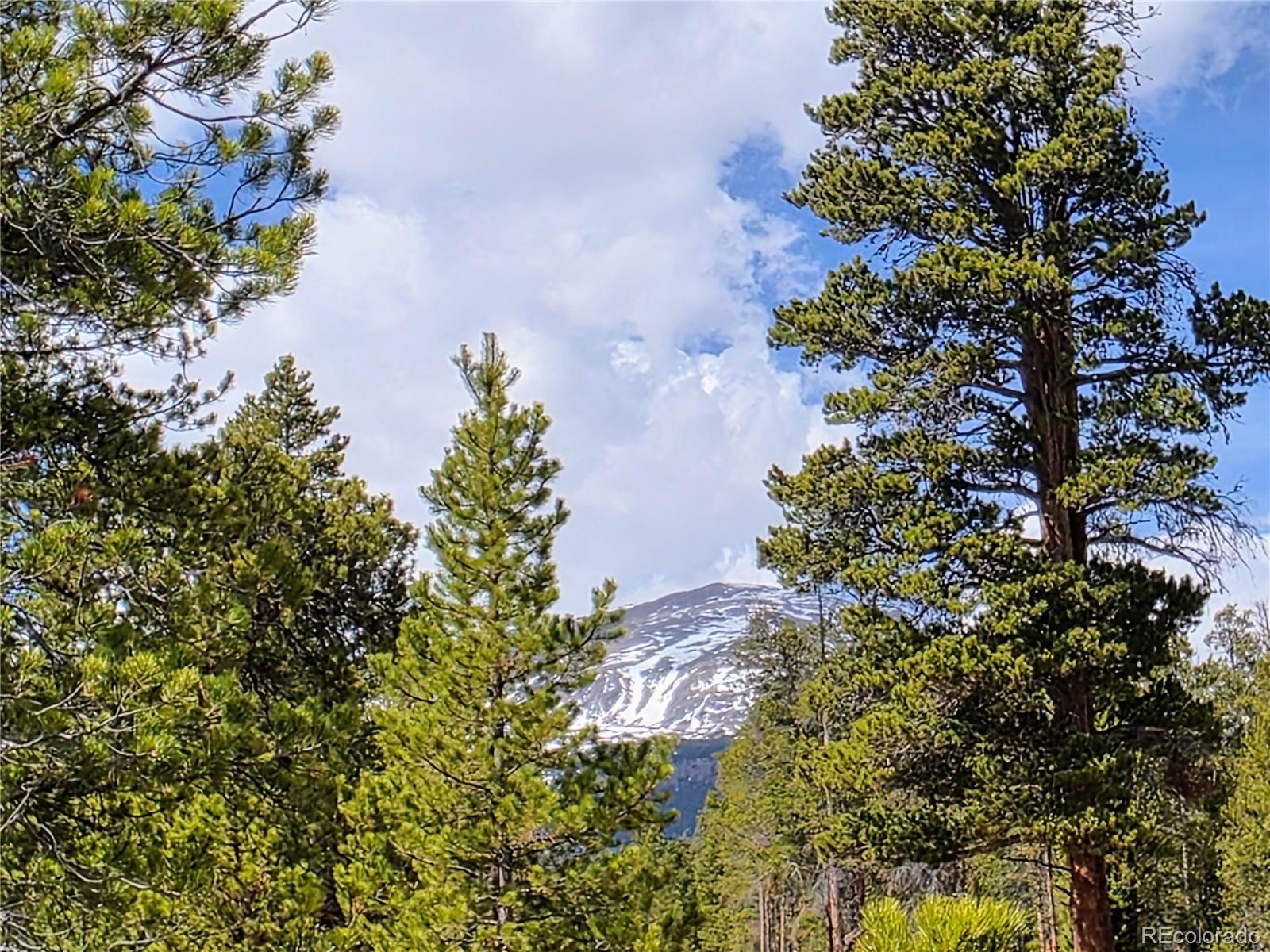 322 Fir Drive Twin Lakes CO 81251