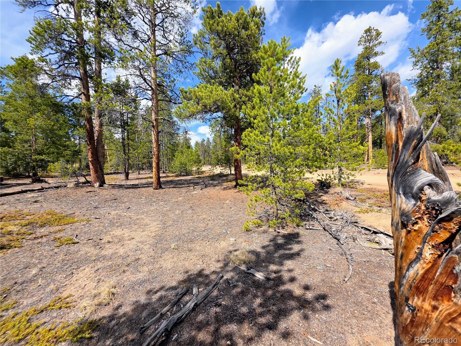 322 Fir Drive Twin Lakes CO 81251