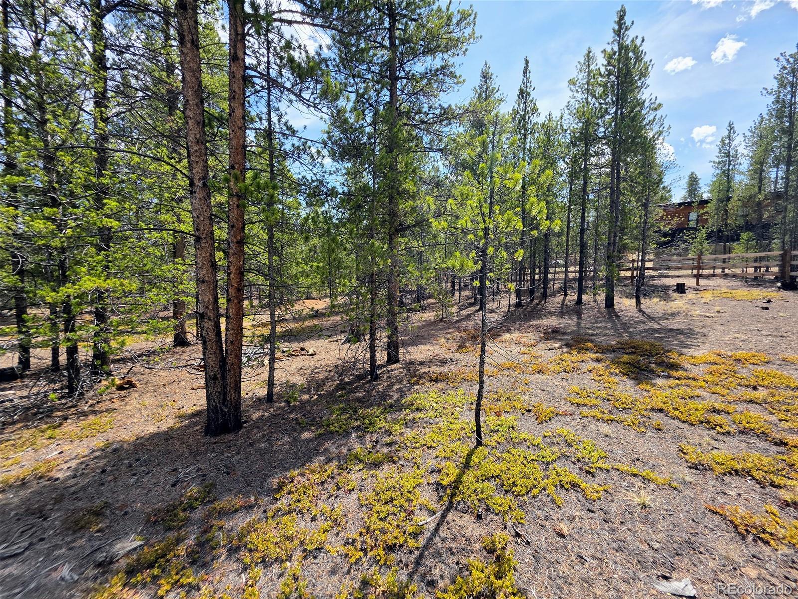 322 Fir Drive Twin Lakes CO 81251