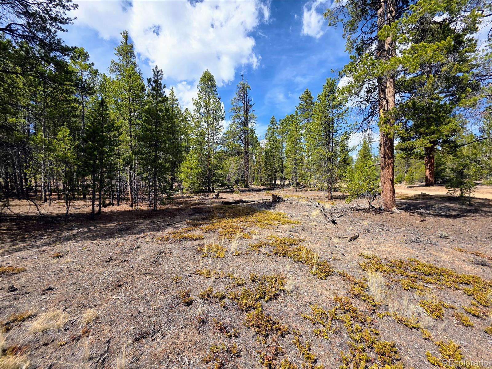 322 Fir Drive Twin Lakes CO 81251