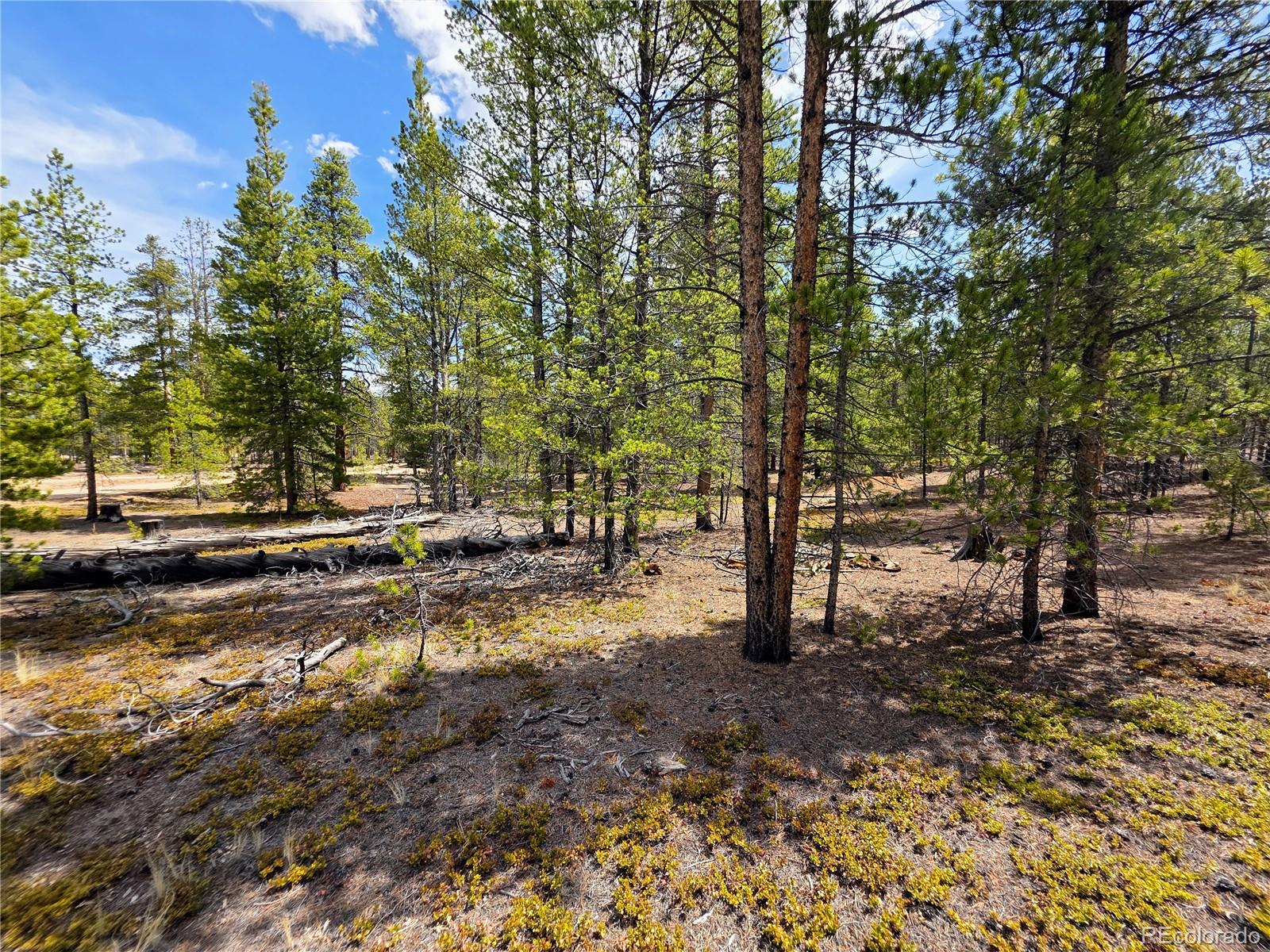322 Fir Drive Twin Lakes CO 81251