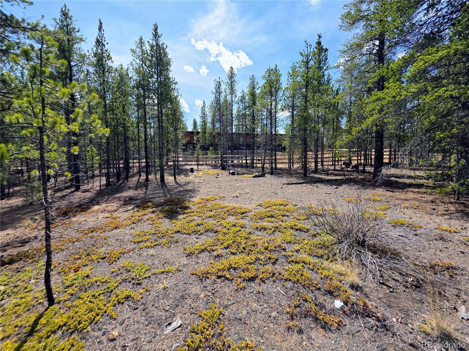 322 Fir Drive Twin Lakes CO 81251