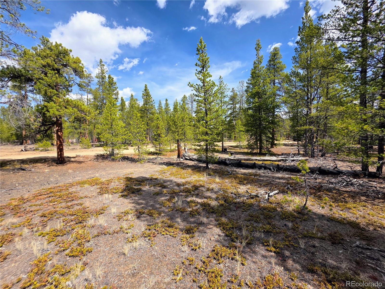 322 Fir Drive Twin Lakes CO 81251