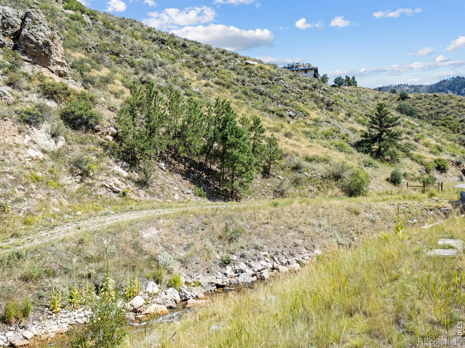 9981 County Road 43 Glen Haven CO 80532