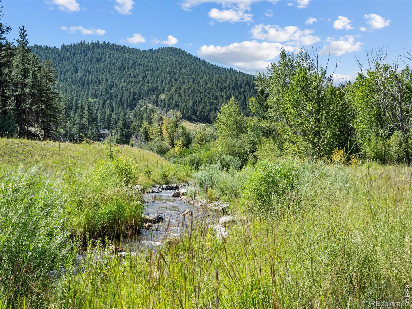 9981 County Road 43 Glen Haven CO 80532