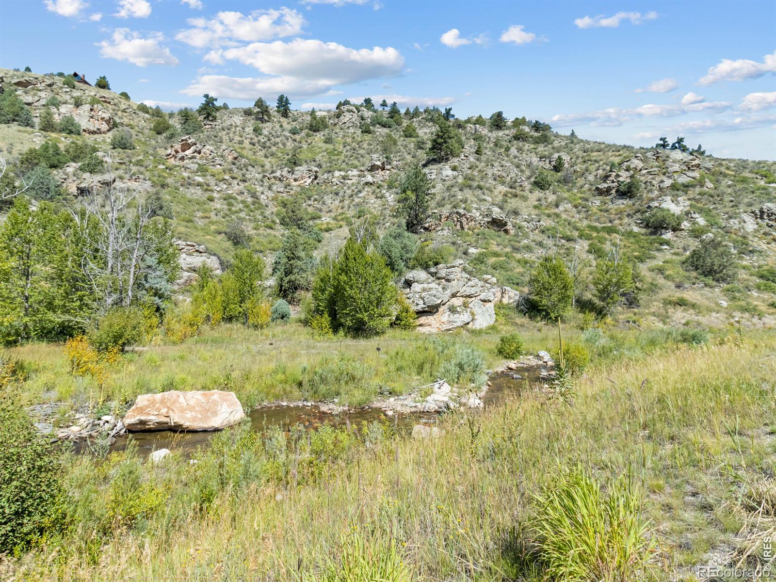 9981 County Road 43 Glen Haven CO 80532