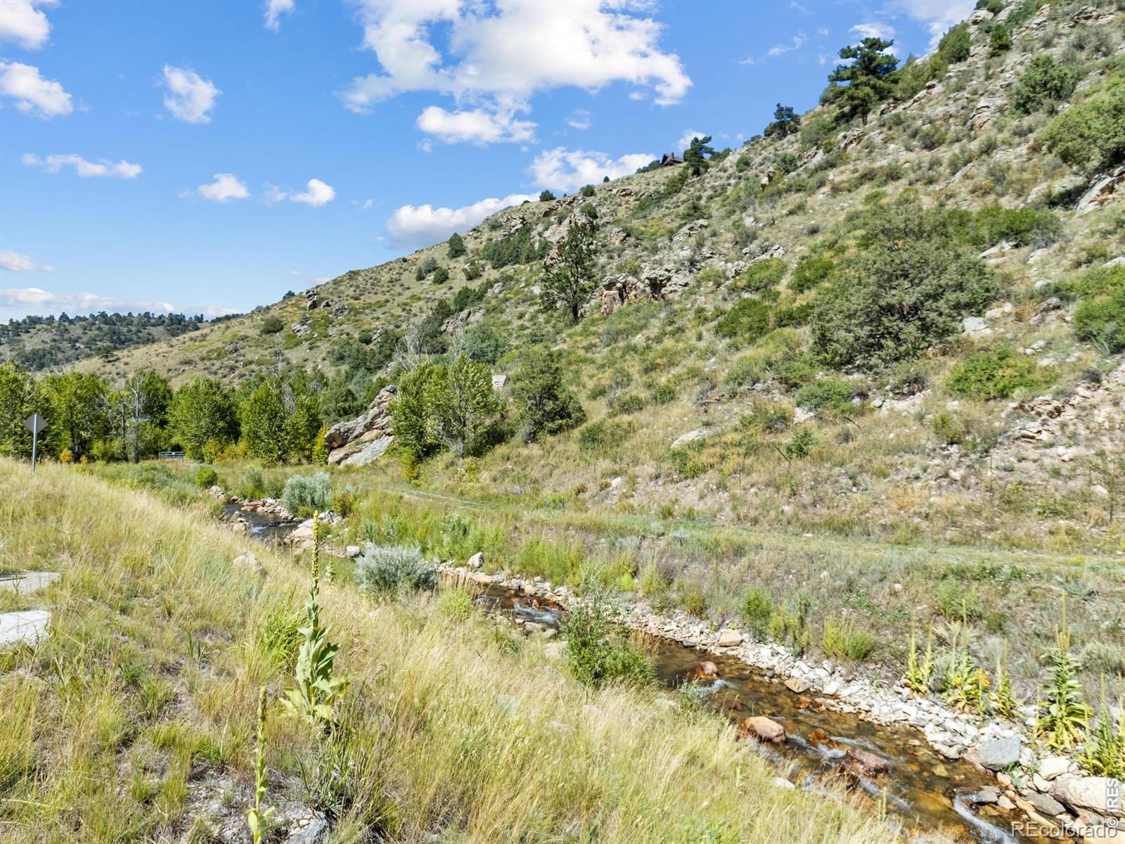 9981 County Road 43 Glen Haven CO 80532