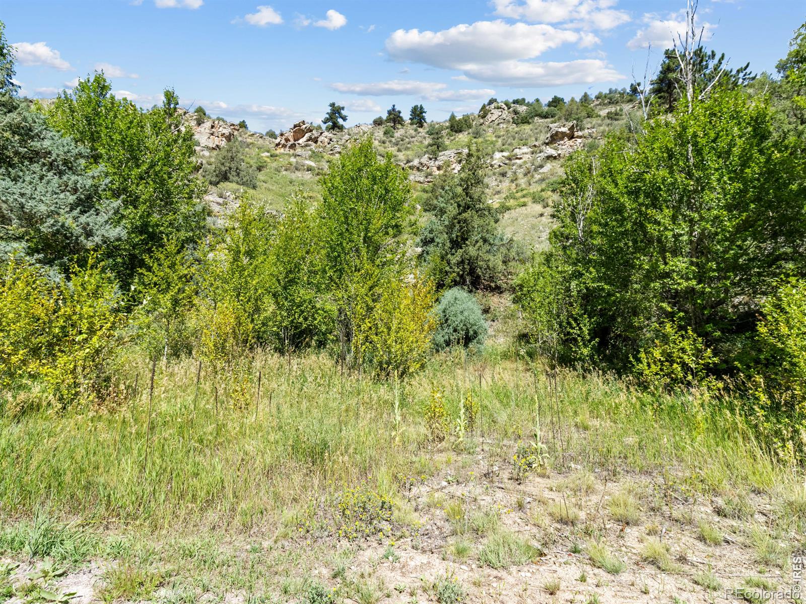 9981 County Road 43 Glen Haven CO 80532